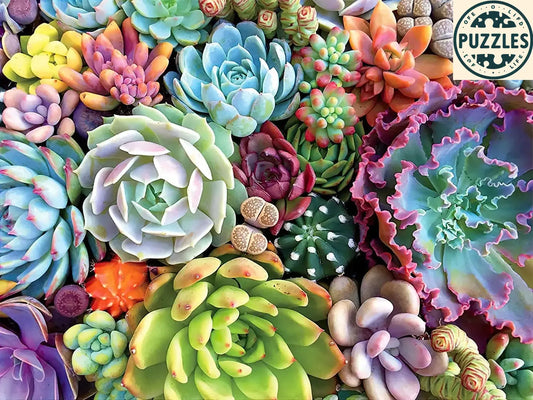 1000-Piece Jigsaw Puzzle – Large Succulents - Puzzles