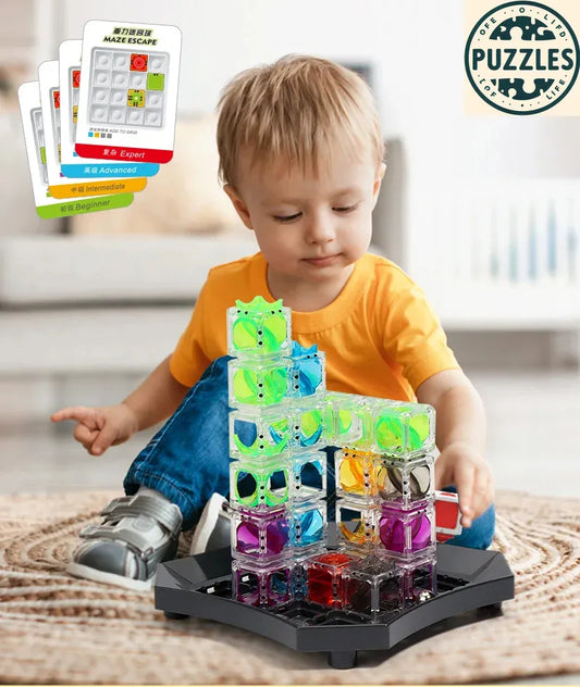 Gravity Maze Marble Run - Puzolife - Puzolife - Puzzles of Life