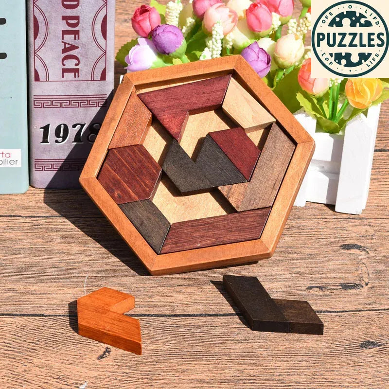 Hexagonal Wooden Puzzle – IQ Brain Teaser for Kids - Puzzles