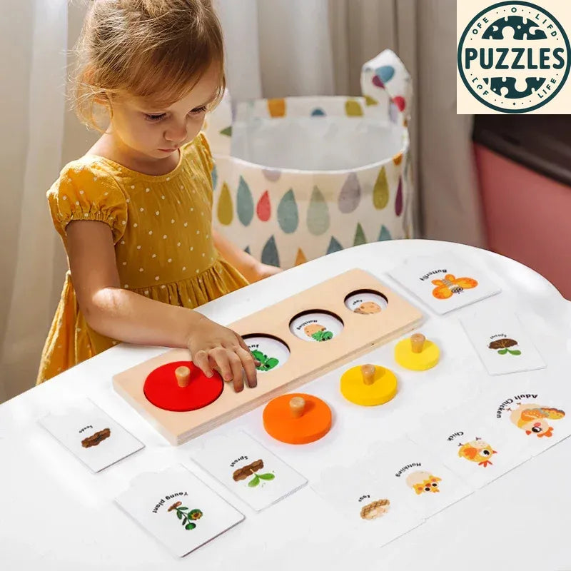 Life Cycle Wooden Peg Puzzle – Montessori Sorting & Matching Game - Puzzles