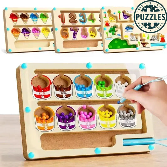 Magnetic Maze Game - Puzolife - Puzolife - Puzzles of Life