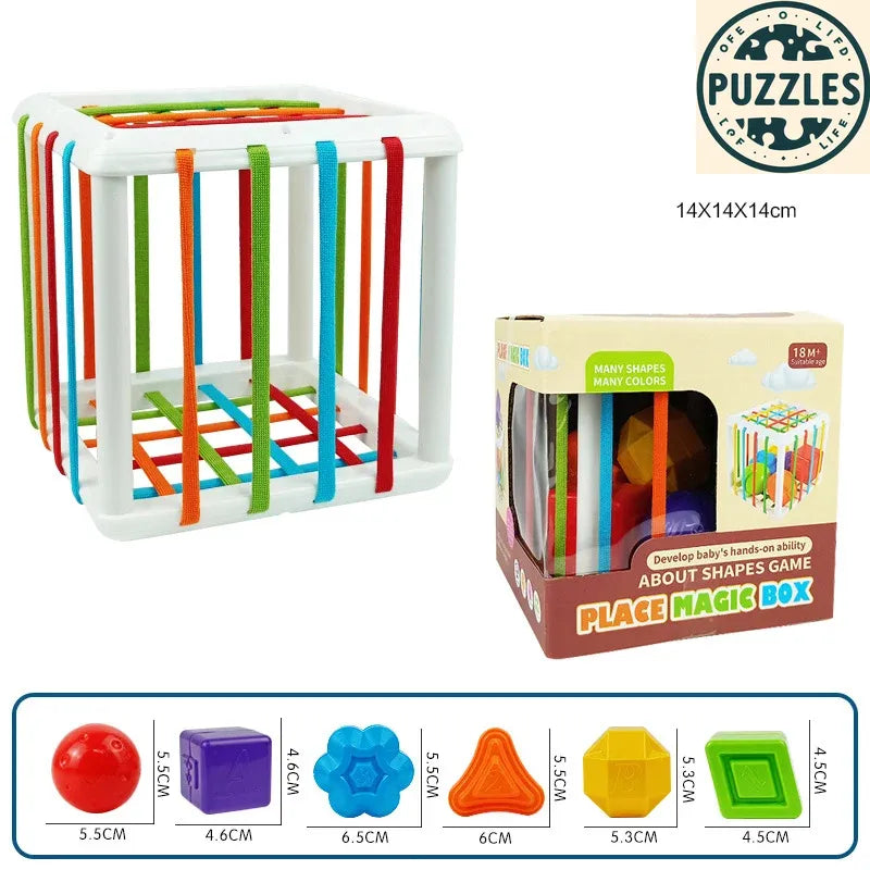 Montessori Shape Sorting Toy – Sensory Learning for Kids - Puzolife - Puzzles of Life