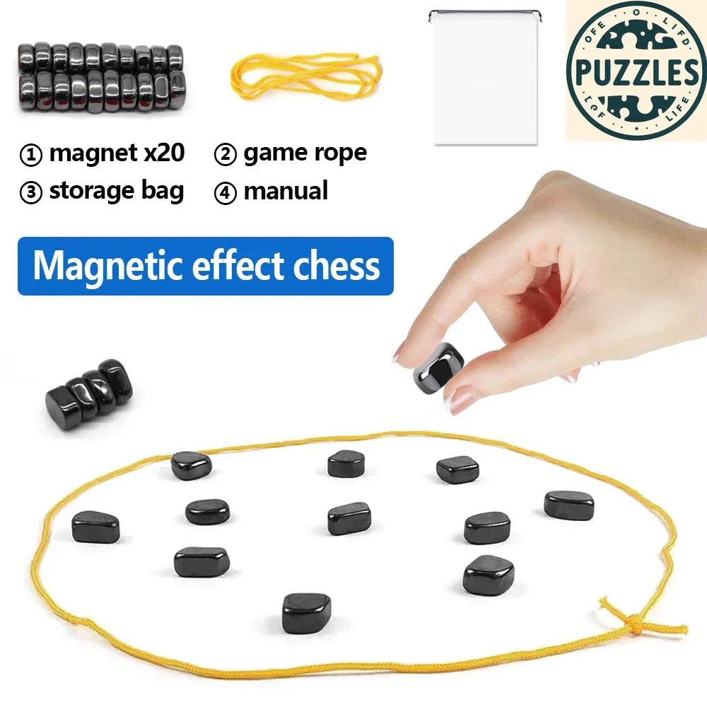 Natural Polished Lodestone - Puzolife - Puzolife - Puzzles of Life