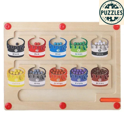 Color & Number Maze – Puzolife - Puzolife - Puzzles of Life