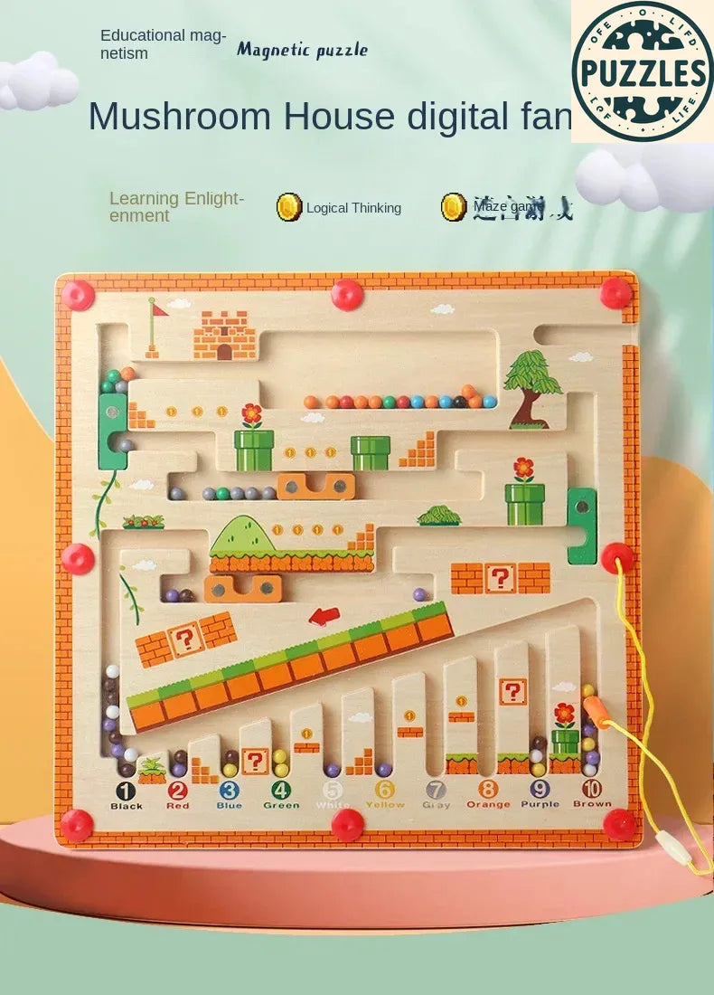 Color & Number Maze – Puzolife - Puzolife - Puzzles of Life