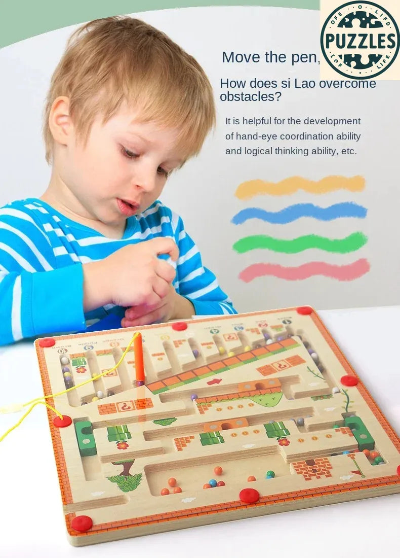 Color & Number Maze – Puzolife - Puzolife - Puzzles of Life