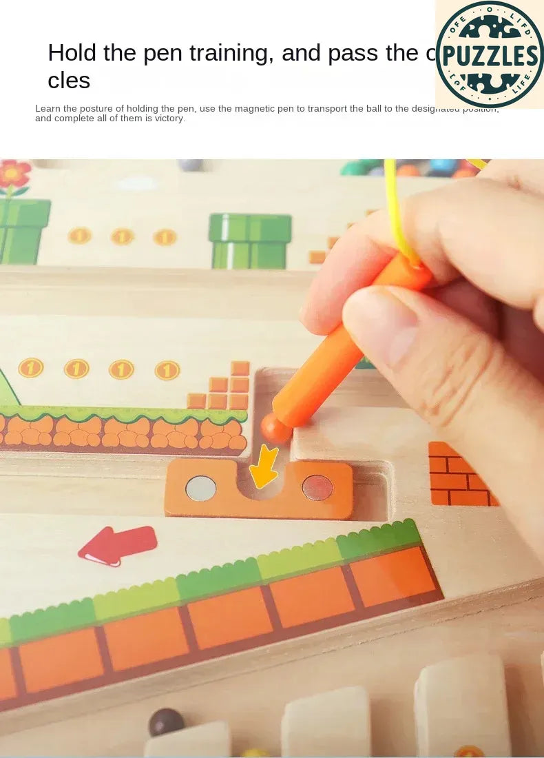 Color & Number Maze – Puzolife - Puzolife - Puzzles of Life