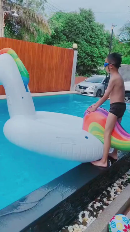 Swim Pool Floating Inflatable Ring